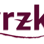 wrzky logo in deep burgundy, minimalist design