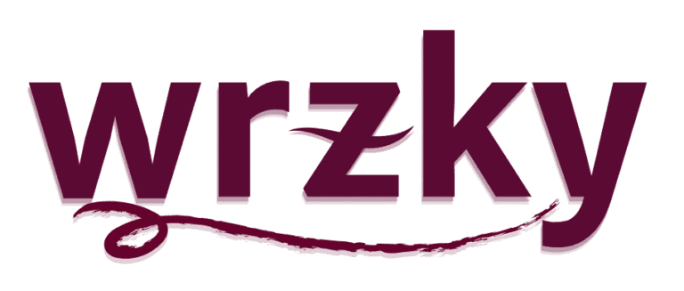 wrzky logo in deep burgundy, minimalist design