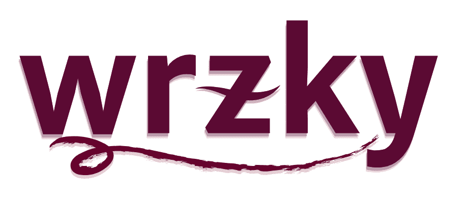 wrzky logo in deep burgundy, minimalist design