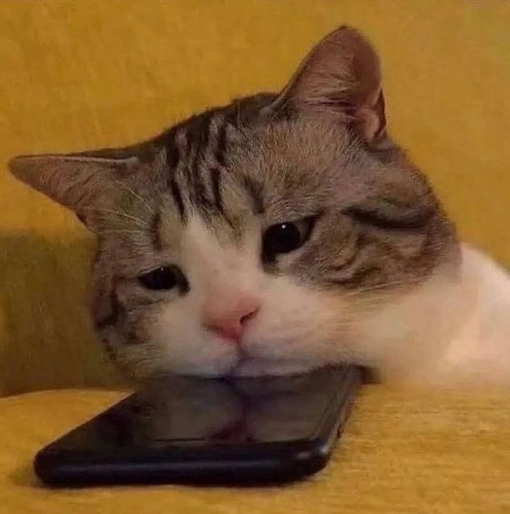 A tabby and white cat with sad, droopy eyes rests its chin on a black smartphone lying on a yellow couch.